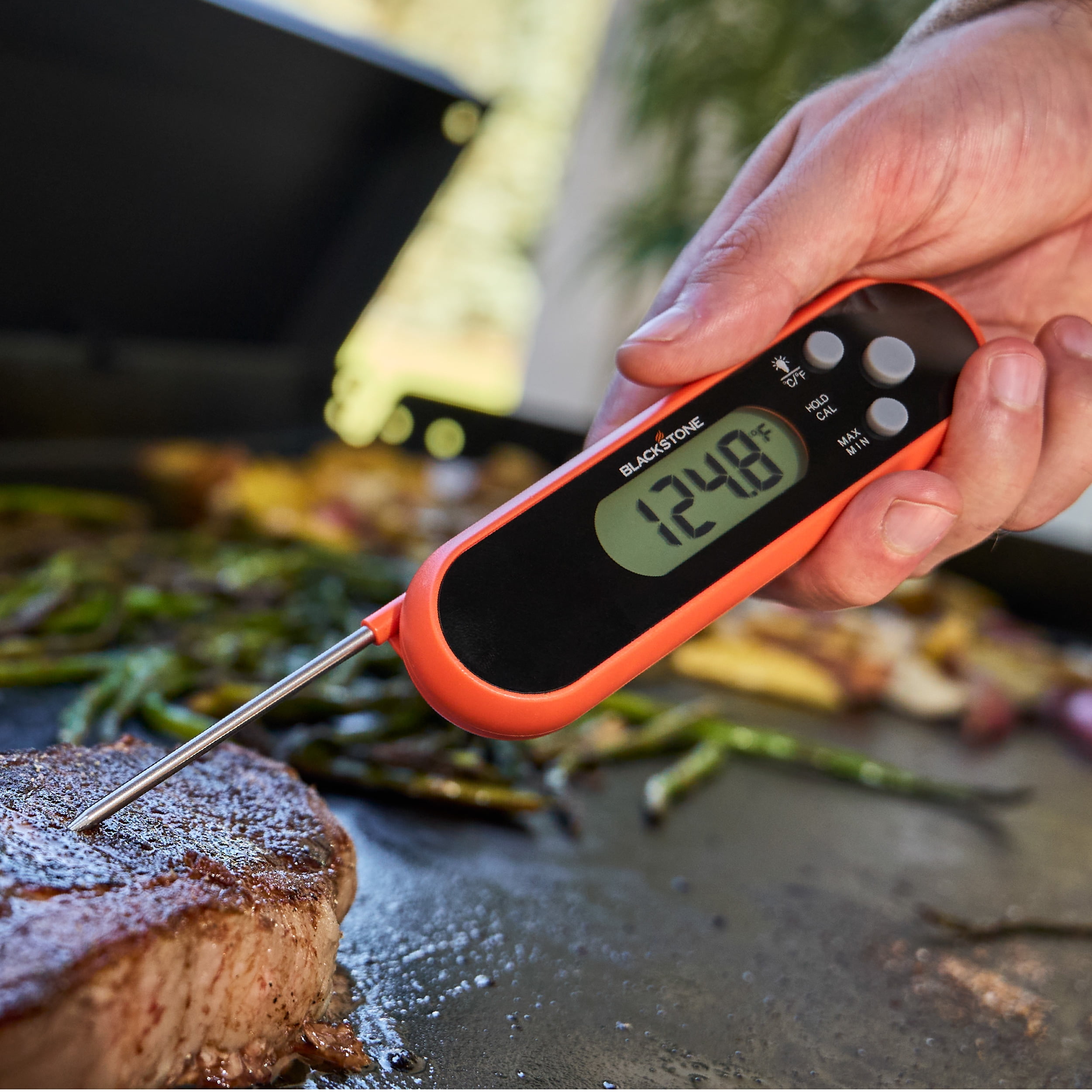 Blackstone Folding Probe Thermometer