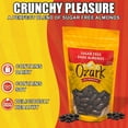 thumbnail image 3 of OZARK NUT ROASTERS, Sugar-Free Dark Almonds, Chocolate-Flavored Snack Nuts, World-Class Gourmet Candied Peanuts, Resealable Pack (14.0 oz), 3 of 5