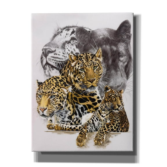 Epic Graffiti 'Elusive' by Barbara Keith, Canvas Wall Art, 40"x54"