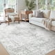 thumbnail image 1 of Alfombra Area Yidanamy de 152 x 213 cm, lavable y antideslizante, color gris, 1 of 9