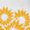 White, variant on Minimalist Sunflower Heart Graphic Tees Womans T shirt Black/White S-5XL Shirts Casual Daily Tops