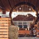 thumbnail image 2 of Outdoor Yard Decor Hayrick Scene Autumn Style Garden Home Khaki Straw Material Photo Prop 1Pcs, 2 of 4