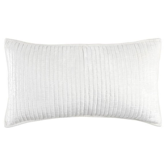 Pemberly Row 20x36" Rayon Velvet and Solid Cotton King Sham in Ivory