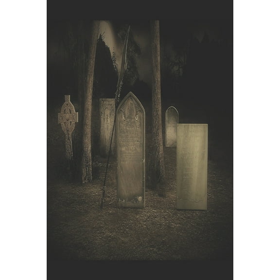 Into the Heart of Darkness (Paperback)