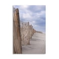 thumbnail image 1 of Gango Home Decor Contemporary Coastal Fences by Karyn Millet (Printed on Paper); One 24x36in Fine Art Paper Giclee Print, 1 of 4