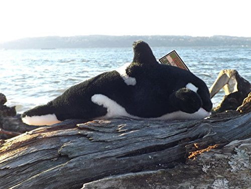 stuffed orca whale