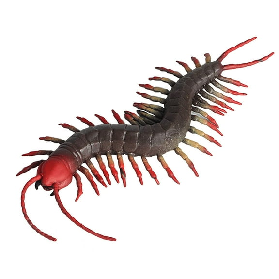 Ksopiavobs Animal Figures 1pcs Rubber Elastic Realistic Centipede Action Model, Stress Relief Toys for Science Project, Learning Educational Toys, Birthday Gift, Cake Topper for Kids