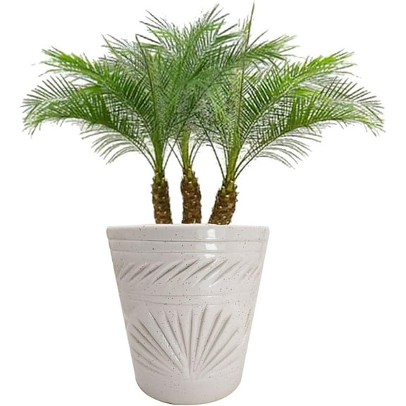 India Meets India Ceramic Flower Pot White Self Carving Design Planter Vase Indoor Outdoor Planter Handicraft by Awarded Indian Artisan (White, 8 Inch)