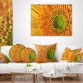 thumbnail image 3 of Designart Yellow Daisy Gerbera Flower Close up - Flowers Throw Pillowwork - 16x16, 3 of 4