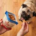 thumbnail image 2 of Golden Rewards Freeze Dried Salmon Treats for Dogs, 3 oz Pouch, 2 of 8