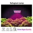Led Aquarium Light 30W Plants Led Lighting Refugium Lamp For Seaweed