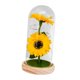 thumbnail image 4 of Girasol en cúpula de cristal, regalos, girasol Artificial en cúpula de cristal, artesanías, lámpara de girasol para siempre para abuela, , novia , estilo A BLESIY Girasol falso, 4 of 8