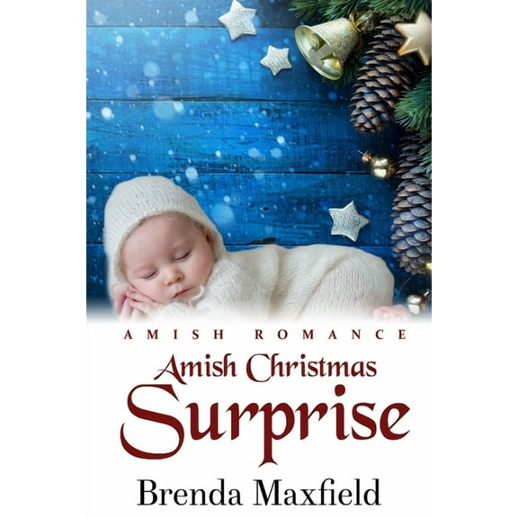 Amish Christmas Surprise