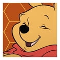thumbnail image 3 of Almohada Jumbo Reversible Disney Winnie Adventures 120 cm x 50 cm naranja Hang tag, 3 of 4