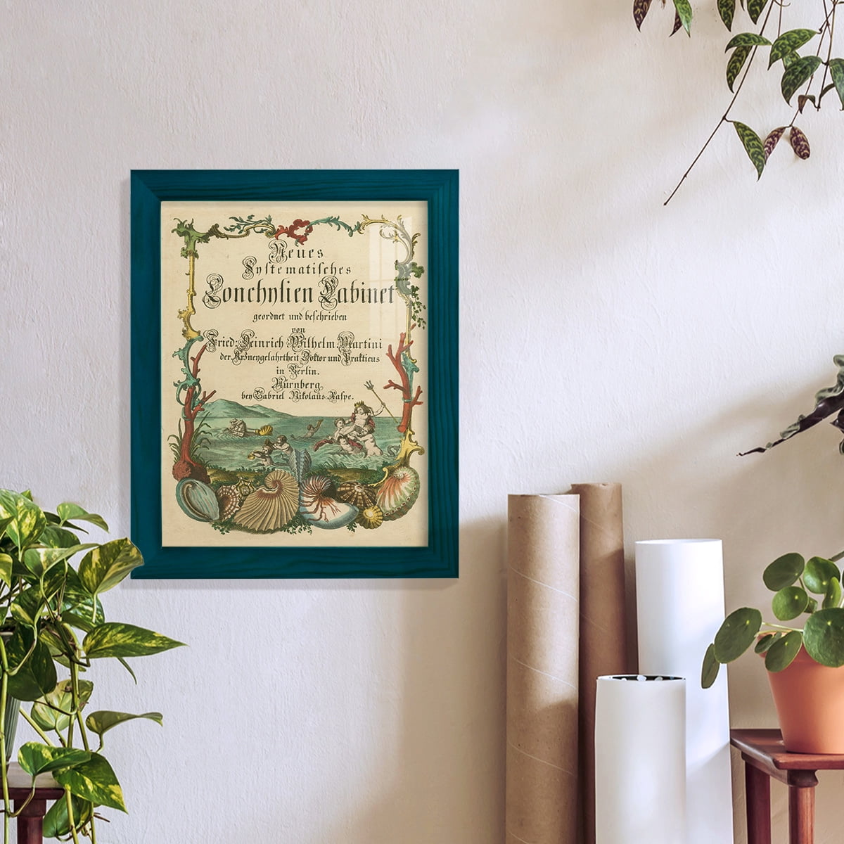 Cabinet of Conchology -Framed Print w/glass-Ocean Blue