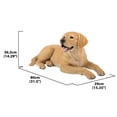 thumbnail image 5 of YELLOW LABRADOR RETRIEVER LYING DOWN, 5 of 5