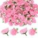 thumbnail image 1 of Uxcell 100 Paquete de Cabezas de Rosas Artificiales 1.2" Pequeña Cabeza de Rosa de Seda Falsa para Decoración Cabezas de Flores Falsas Rosa, 1 of 7