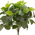 thumbnail image 3 of 18.5" Decorative Artificial Green Two Tone Red Net Floral Bush, 3 of 5