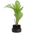 thumbnail image 2 of Herramienta de soporte fijo de flor de rana de punta de metal antideslizante Ikebana Negro - 92 mm (36 pulgadas) de diámetro Sunnimix Rana de flor redonda, 2 of 8