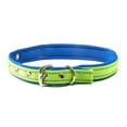 thumbnail image 7 of Vibrant Life Metal & Nylon Safety Dog Collar, Blue, Medium, 7 of 7