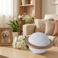 thumbnail image 6 of Pet Memorial Urn for Ashes, Cremation Urn for Dogs Cats, Loss of Pet Gift, Sympathy Keepsake for Pet Lovers, 6 of 6