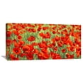 thumbnail image 1 of Global Gallery Silvia Mei 'Poppy Field' Canvas Wall Art, 1 of 5
