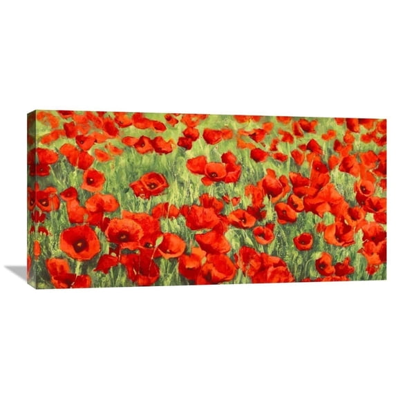 Global Gallery Silvia Mei 'Poppy Field' Canvas Wall Art