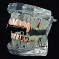 thumbnail image 3 of 14K Rose Gold Plated Full Fang Grillz Set Upper Top And Bottom Lower Fangs Vampire Teeth Hip Hop Grills, 3 of 5