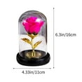 thumbnail image 2 of Mecorevxz Rose Flower Gifts for Women, Forever Rose, Galaxy Rose Flower Light Up in Glass Dome, Rose Gifts for Women Mom Wife Girlfriend (Hot Pink), 2 of 6