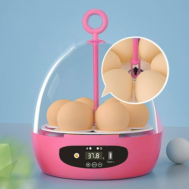 de huevos eléctrica para incubar huevos, USB, de pollos, luz, Control de temperatura, incubación de 6 huevos para pájaros y USB Automático Rosa