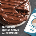 thumbnail image 4 of Harina de Avena Germinada I SIN GLUTEN I NextFuture Foods I 907gr, 4 of 8