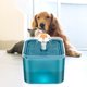thumbnail image 4 of Automático 2L 67. Fuente para gatos Automático Mascota Perro pequeño Bebedero silencioso Comedero Cascada Bebedero de 3 modos Dispensador de agua salu - Verde Sunnimix Fuente de agua para gatos, 4 of 7