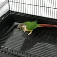 thumbnail image 7 of Open Top Parrot Cage with Stand in Black, 7 of 7