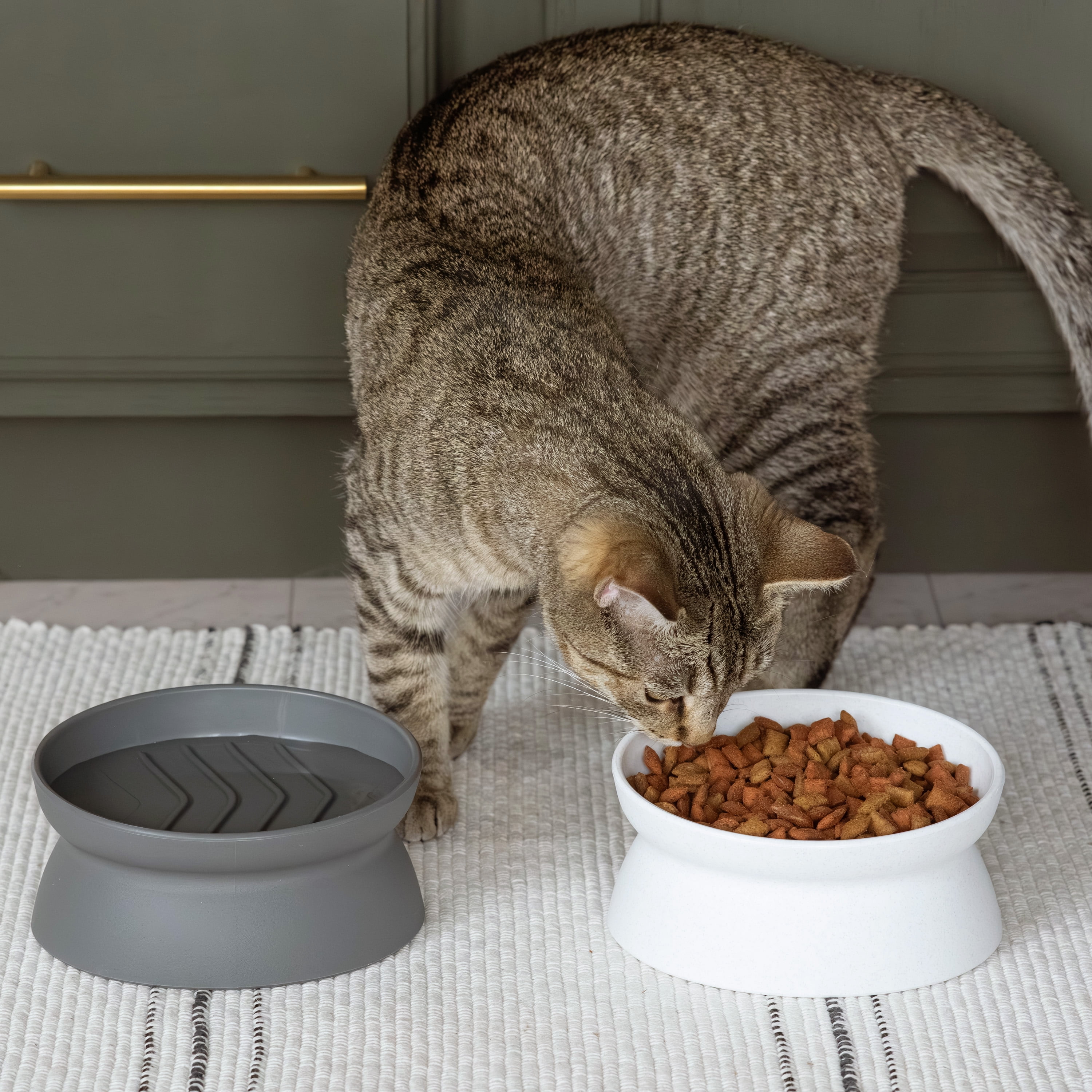 Kitty City Slow-Eater Plastic Raised Cat Bowls 2 Pack Set, Multicolored, Large