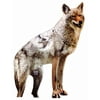 Bird-X Coyote Decoy,20 in H,Brown/White COYOTE