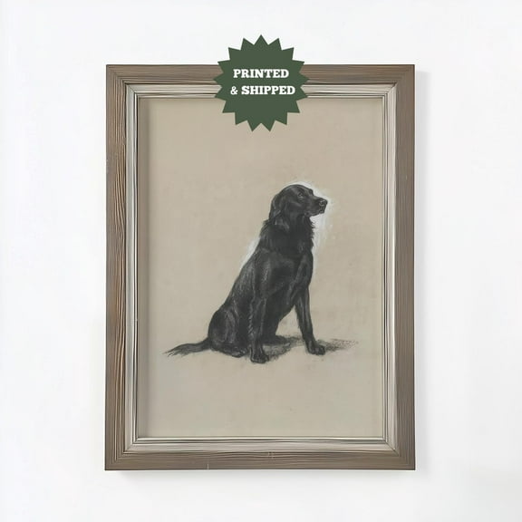 Miluva Vintage Dog Nursery Art Print, Printed And Shipped, Black Labrador Dog Art, Neutral Farmhouse Decor, Dog Portrait Sketch T0453 Decor For Living Room Bedroom, 8x12 UNFRAMED