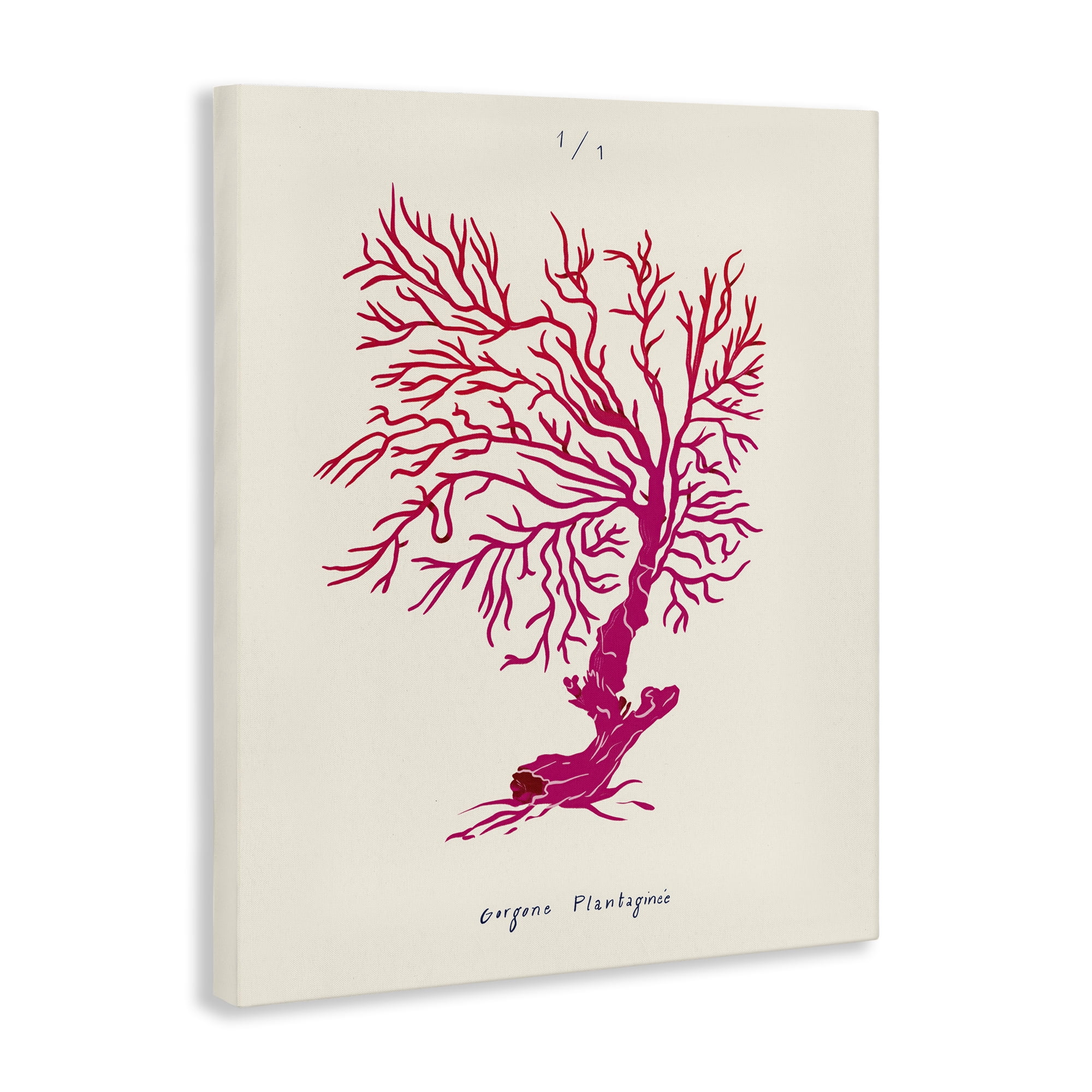 Stupell Industries Sea Fauna Coral Nautical & Beach Painting Wrapped Canvas Art Print Wall Art, 30 x 40