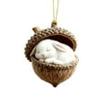 thumbnail image 4 of Forest Animal Acorn Ornaments, 2026 Christmas Pine Cone Decoration, Acrylic Woodland Creatures in Acorn Shells, Ornaments Animals as Rustic Home Decorations for Holiday Party Xmas Tree Decor, 4 of 8