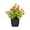 Red, variant on Bcylexb Mini Fake Potted Plants, 7 inch Small Artificial Plants with Colorful Flowers Greenery Plants for Table Home Bathroom Window Office Decor