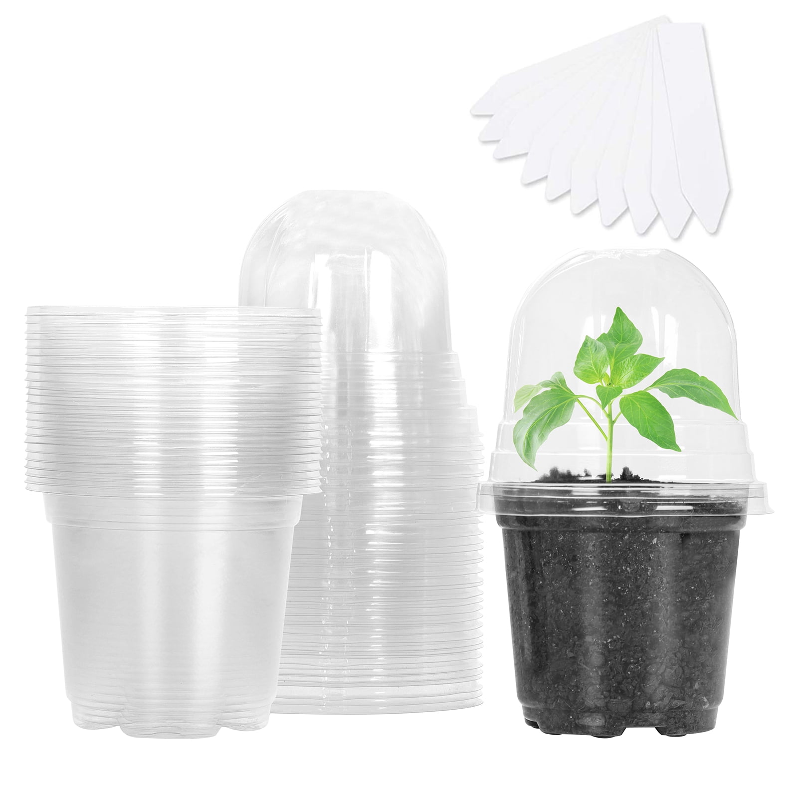 30 Sets with 30 Pcs Plant Labels Plant Nursery Pots with Humidity Dome 6 Inch Greenhouse Pots with Drain Holes 