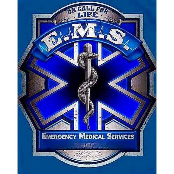 Paint by Numbers Kit for Adults -Medical Rescue (4) - Beginner DIY Color by Number Set on Canvas Acrylic Oil Paintings Crafts, Gifts, Home Wall Decor (12 X 16 inches)-