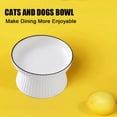 thumbnail image 5 of Ceramic Raised Cat Dishes or Dog Bowl, Pet Food or Water Bowls without pattern, 5 of 5