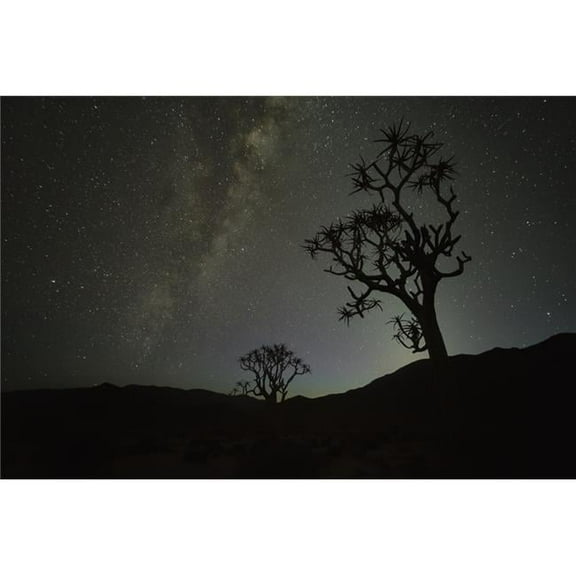 Kookerboom Tree Under The Milky Way Richtersveld National Park - South Africa Poster Print - 38 x 24 in. - Large