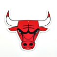 thumbnail image 1 of Authentic Street Signs 96000 12 in. Bulls Primary Steel Logo, 1 of 1