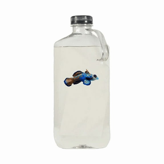 Live Copepods 5 Species (32-ounce bottle) - Fast Free Shipping