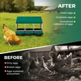 thumbnail image 3 of 3-Hole Green Metal Chicken Nesting Box – Removable Tray, Roll-Away Egg Collection, Weatherproof Galvanized Steel, Easy Assembly & Cleaning, Hen Roosting Perch – Backyard Poultry Coop, Farm, 3 of 8