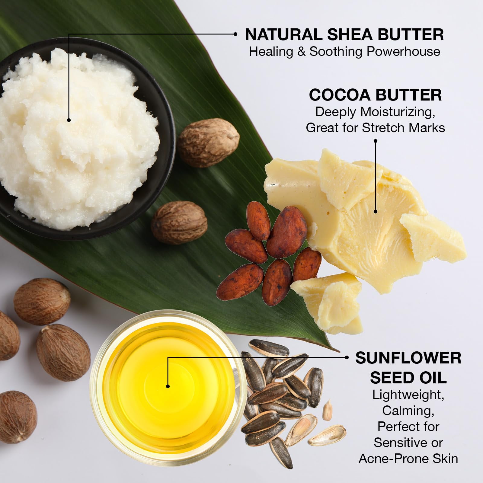 Ginger Lily Farms Botanicals Shea Indulgence Deep Hydration Liquid Hand Soap Refill, Island Tranquility, 100% Vegan & Cruelty-Free, Green Tea Lemongrass Scent, 1 Gallon (128 fl oz)