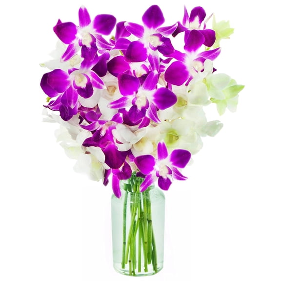 KaBloom :Exotic Opal Orchid Bouquet of Purple and White Orchids from Thailand with Vase .