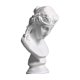 thumbnail image 1 of Busto de cabeza griega de resina clásica de 18 pulgadas, escultura, figura para decoración artística. Arias, 1 of 8