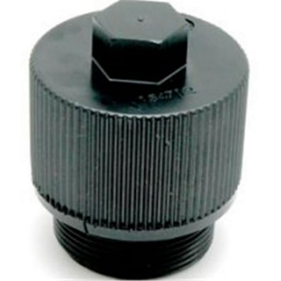 Pentair 190030 Drain Plug Cap Assembly Replacement Pool and Spa Filter